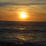 CambriaCN_0158 (November 05, 2016)